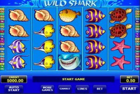 Wild Shark  -  Amatic